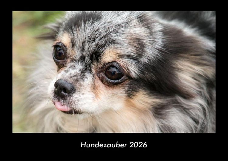 Produktbild: Hundezauber 2026 Fotokalender DIN A3