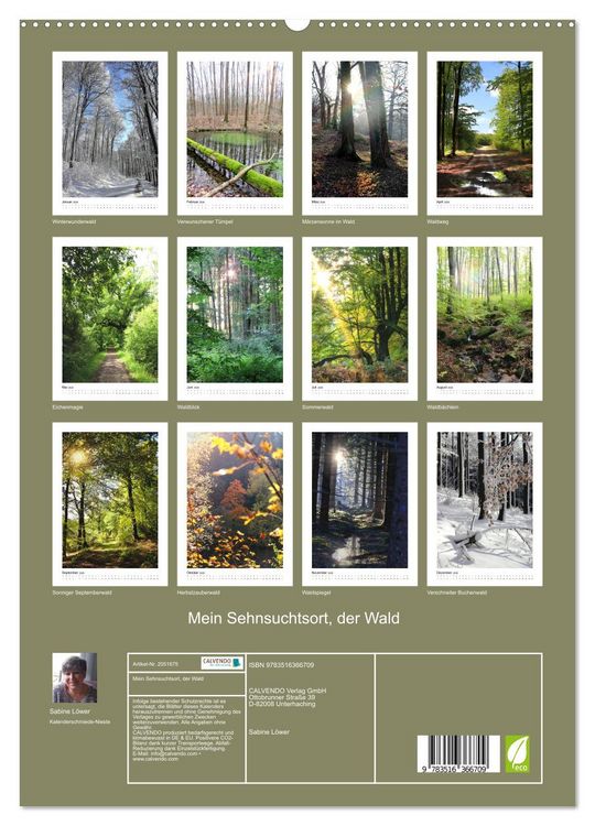 Produktbild: Mein Sehnsuchtsort, der Wald (Wandkalender 2026 DIN A2 hoch), CALVENDO Monatskalender