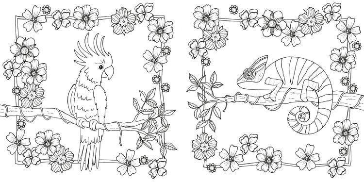 Produktbild: Tropical Flowers &ndash; Exotische Blumen- und Pflanzen-Motive ausmalen