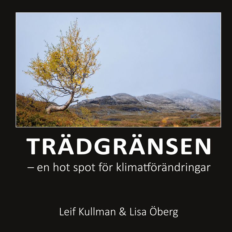 Produktbild: Tr&auml;dgr&auml;nsen