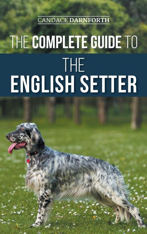 Produktbild: The Complete Guide to the English Setter