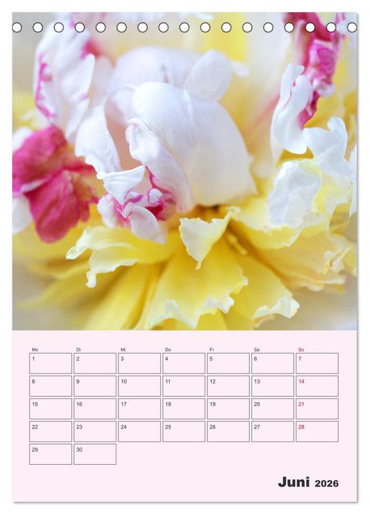 Produktbild: Pfingstrosen Rosen ohne Dornen (Tischkalender 2026 DIN A5 hoch), CALVENDO Monatskalender