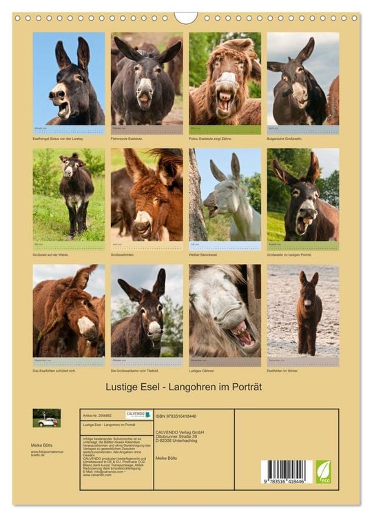 Produktbild: Lustige Esel - Langohren im Portr&auml;t (Wandkalender 2026 DIN A3 hoch), CALVENDO Monatskalender