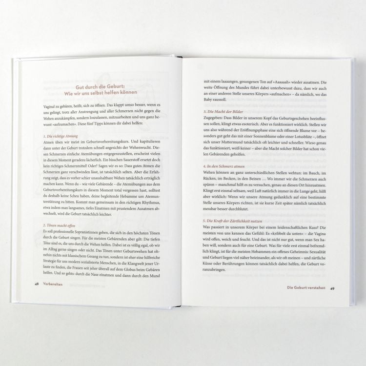 Produktbild: Das Geburtsbuch