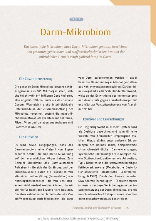 Expertenwissen: Fettleber