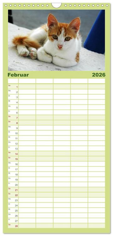 Produktbild: Familienplaner 2026 - Griechische Katzen mit 5 Spalten (Wandkalender, 21 x 45 cm) CALVENDO