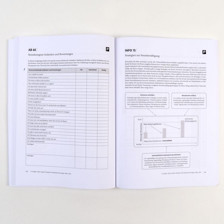 Produktbild: Therapie-Tools Bipolare St&ouml;rungen