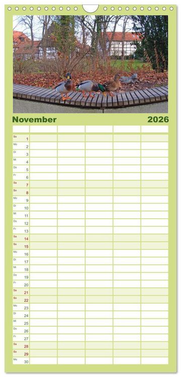 Produktbild: Familienplaner 2026 - Bad Sassendorf mit 5 Spalten (Wandkalender, 21 x 45 cm) CALVENDO