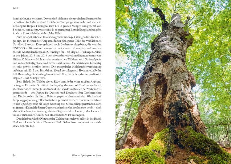 Produktbild: Wunderwelt Totholz