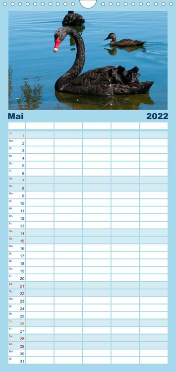 Produktbild: Familienplaner V&ouml;gel von "Down Under" Australien (Wandkalender 2022 , 21 cm x 45 cm, hoch)