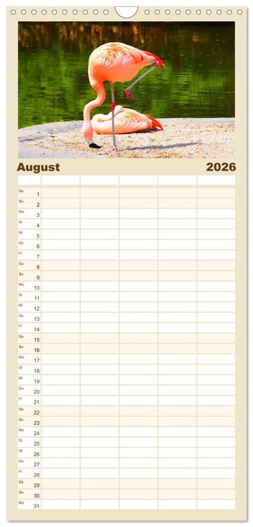 Produktbild: Familienplaner 2026 - Flamingo Zauber mit 5 Spalten (Wandkalender, 21 x 45 cm) CALVENDO