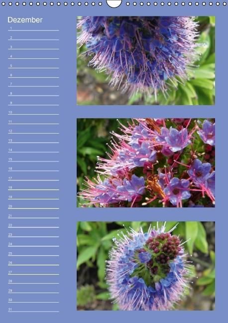 Produktbild: Zauberwelt der Blumen - Eiskristalle & Wasserperlen / Geburtstagskalender (Wandkalender immerw&auml;hrend DIN A3 hoch)