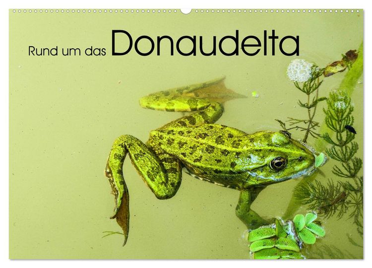Produktbild: Rund um das Donaudelta (Wandkalender 2026 DIN A2 quer), CALVENDO Monatskalender