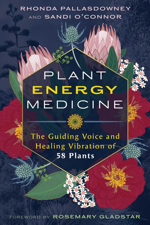 Produktbild: Plant Energy Medicine