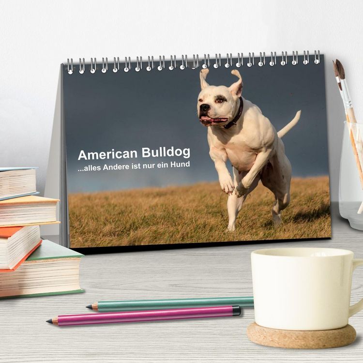 Produktbild: American Bulldog - alles Andere ist nur ein Hund (Tischkalender 2026 DIN A5 quer), CALVENDO Monatskalender