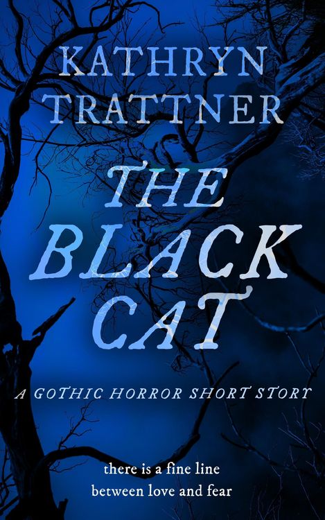 Produktbild: The Black Cat