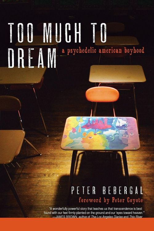 Produktbild: Too Much to Dream