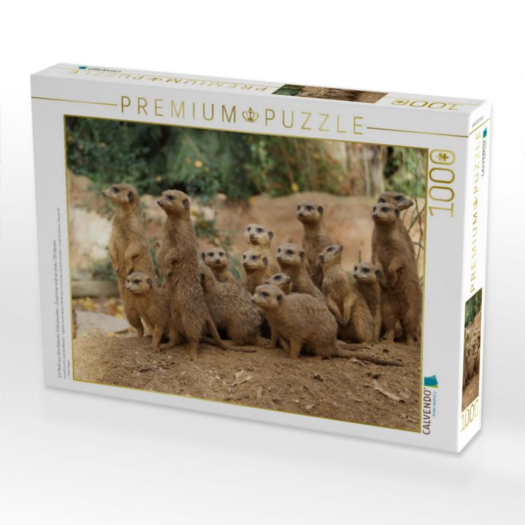 Produktbild: CALVENDO Puzzle Ein Motiv aus dem Kalender Erdm&auml;nnchen - Zusammen sind wir stark / CH-Version | 1000 Teile Lege-Gr&ouml;&szlig;e 64x48cm Foto-Puzzle f&uuml;r gl&uuml;ckliche Stunden