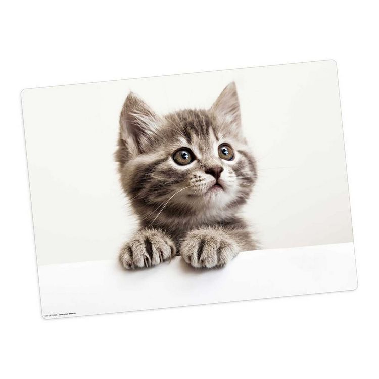 Produktbild: Tischsetmacher Tischset Baby K&auml;tzchen , aus hochwertigem Vinyl, 44 x 32 cm