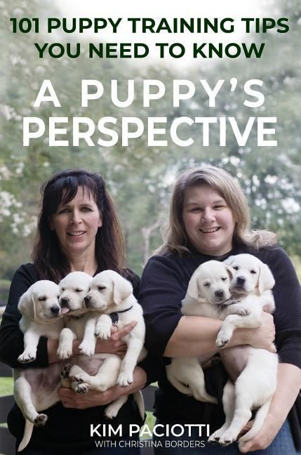 Produktbild: A Puppy's Perspective