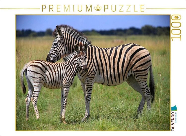 Produktbild: CALVENDO Puzzle Zebras | 1000 Teile Lege-Gr&ouml;&szlig;e 64x48cm Foto-Puzzle f&uuml;r gl&uuml;ckliche Stunden