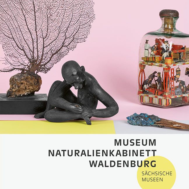 Produktbild: Museum Naturalienkabinett Waldenburg