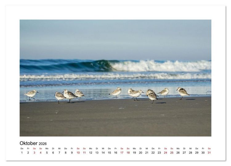 Produktbild: Juist Strandmomente (Wandkalender 2026 DIN A3 quer), CALVENDO Monatskalender