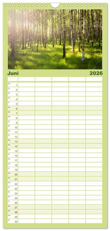 Produktbild: Familienplaner 2026 - Eine Reise durch die W&auml;lder dieser Welt mit 5 Spalten (Wandkalender, 21 x 45 cm) CALVENDO