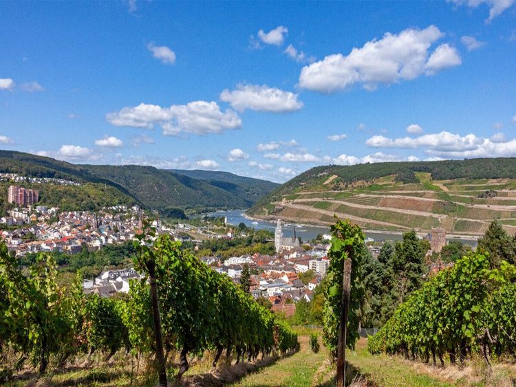 Produktbild: CALVENDO Puzzle Das sch&ouml;ne Bingen am Rhein | 1000 Teile Lege-Gr&ouml;&szlig;e 64x48cm Foto-Puzzle f&uuml;r gl&uuml;ckliche Stunden