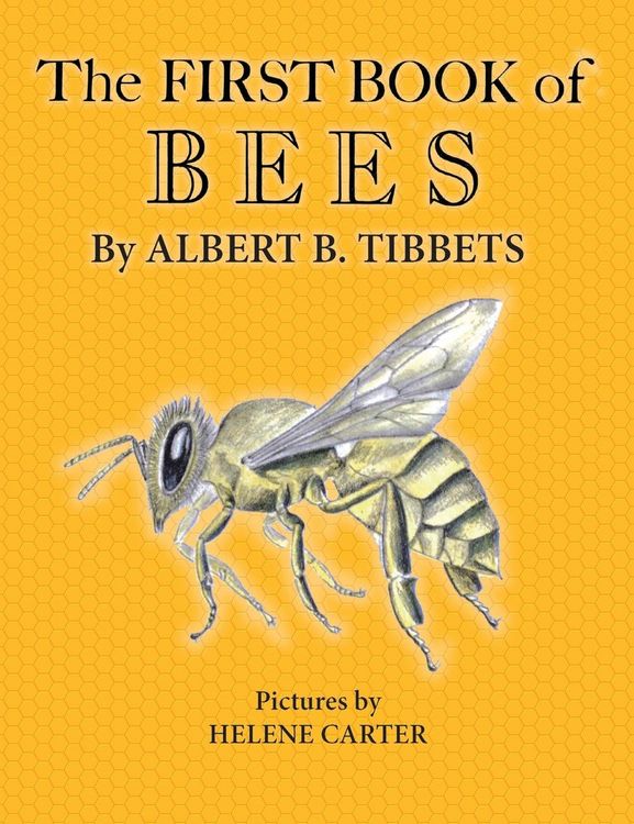 Produktbild: The First Book of Bees