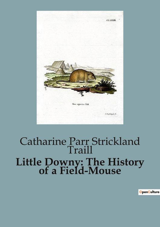 Produktbild: Little Downy: The History of a Field-Mouse