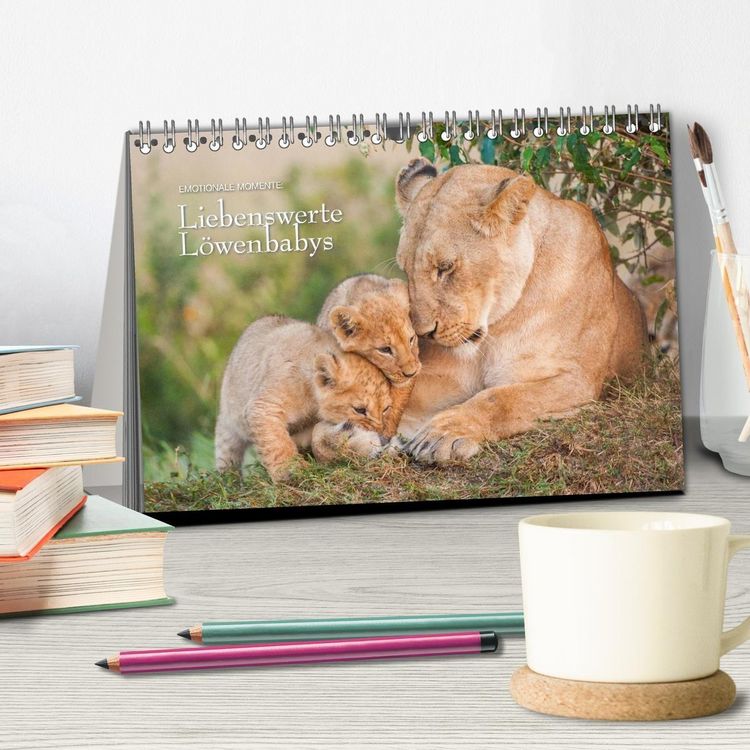 Produktbild: Emotionale Momente: Liebenswerte L&ouml;wenbabys / CH-Version (Tischkalender 2027 DIN A5 quer), CALVENDO Monatskalender