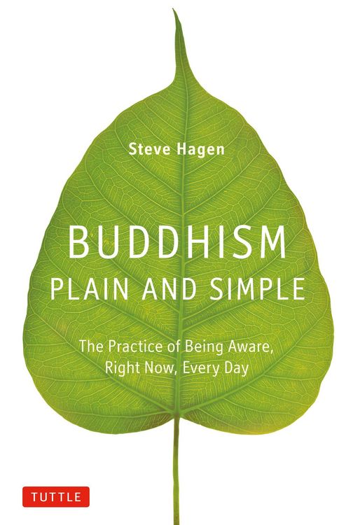Produktbild: Buddhism Plain and Simple
