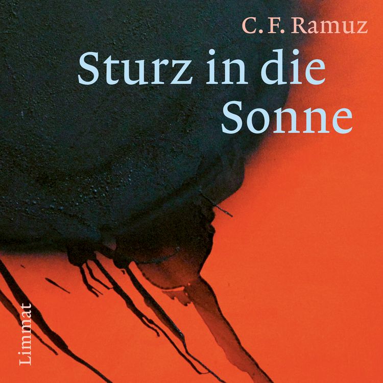 Produktbild: Sturz in die Sonne