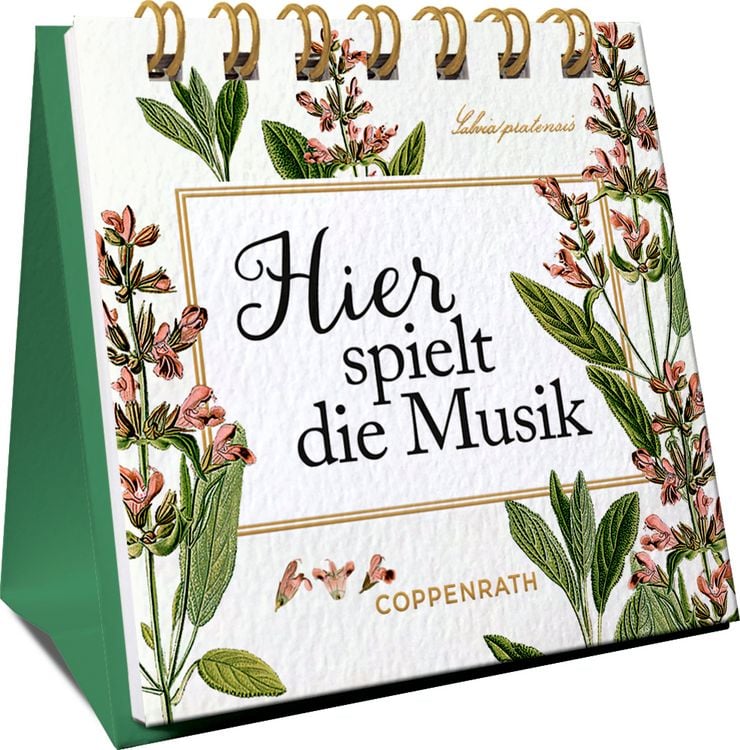 Bild vom Artikel Mini-Spiralaufsteller: Hier spielt die Musik (AUGUSTINA) vom Autor 