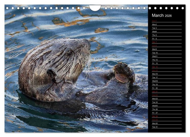 Produktbild: North America's Wildlife (Wall Calendar 2026 DIN A4 landscape), CALVENDO 12 Month Wall Calendar