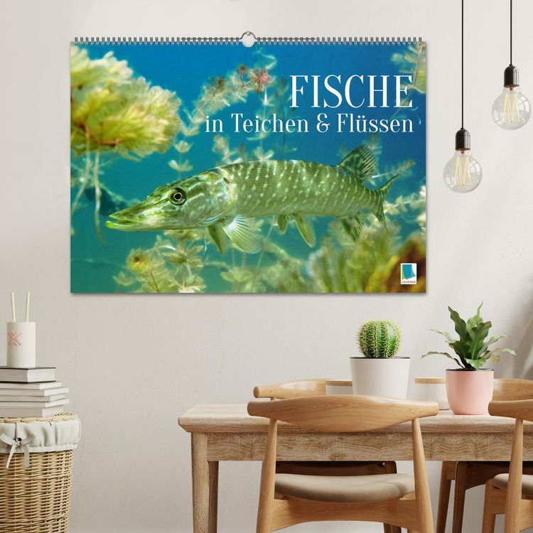 Produktbild: Fische in Teichen und Fl&uuml;ssen (Wandkalender 2026 DIN A2 quer), CALVENDO Monatskalender