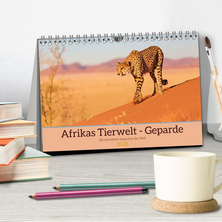 Produktbild: Afrikas Tierwelt - Geparde (Tischkalender 2026 DIN A5 quer), CALVENDO Monatskalender