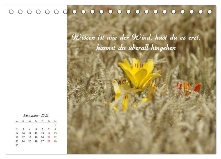 Produktbild: Innehalten in der Natur ... mit Weisheiten und Sprichworten der Indianer (Tischkalender 2026 DIN A5 quer), CALVENDO Monatskalender