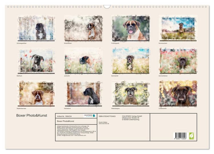 Produktbild: Boxer Photo&Kunst (Wandkalender 2026 DIN A2 quer), CALVENDO Monatskalender