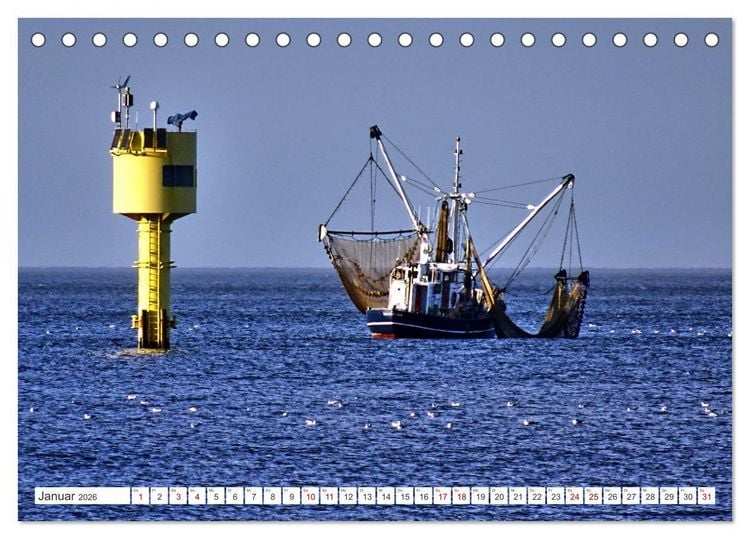 Produktbild: Am Elbdeich - Von Schiffen und Schafen (Tischkalender 2026 DIN A5 quer), CALVENDO Monatskalender