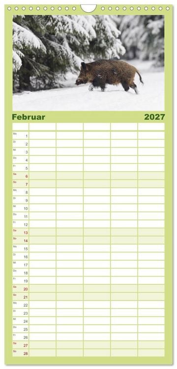 Produktbild: Familienplaner 2027 - Wildschweine &ndash; Wildlife Fotografien mit 5 Spalten (Wandkalender, 21 x 45 cm) CALVENDO
