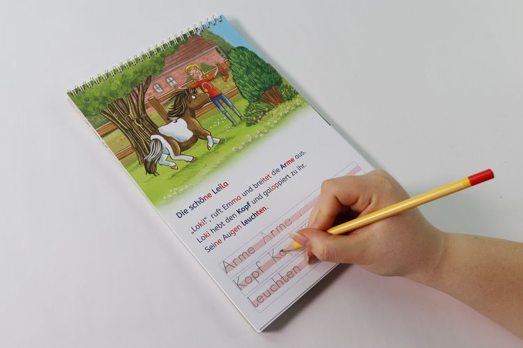 Produktbild: Lesel&ouml;wen - Lesen und schreiben lernen mit Spurrillen - Eine ponystarke Freundschaft
