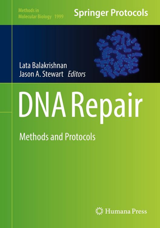 Produktbild: DNA Repair