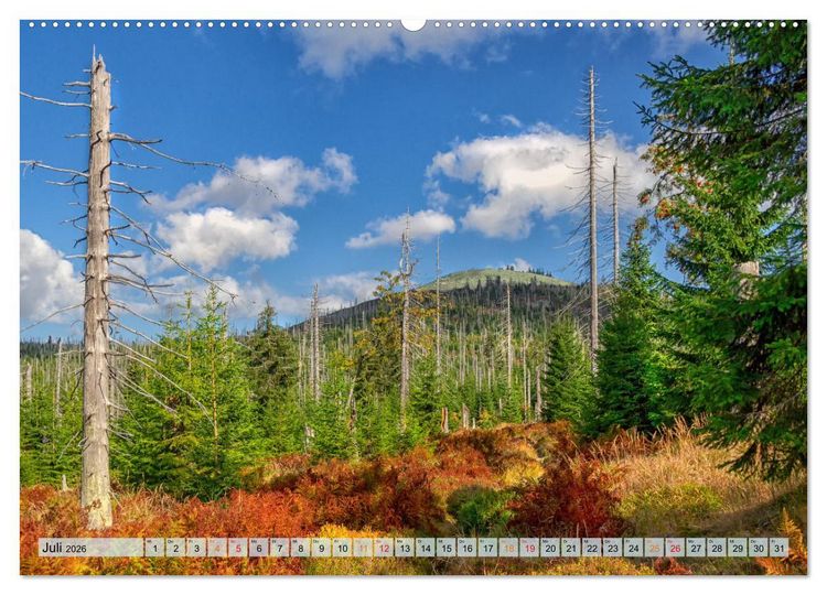 Produktbild: Bayer-Woid-Buidl (Wandkalender 2026 DIN A2 quer), CALVENDO Monatskalender