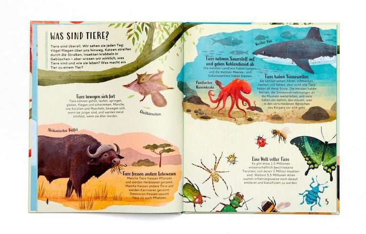 Produktbild: Sortiere deine Tiere