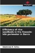 Produktbild: Efficiency of rice seedbeds in the Koussin-l&eacute;l&eacute; perimeter in Benin