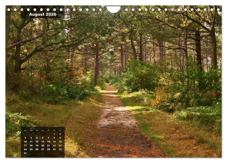 Produktbild: Texel Insel mit Charakter (Wandkalender 2026 DIN A4 quer), CALVENDO Monatskalender