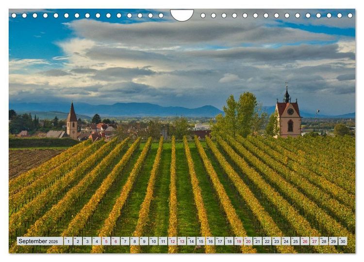 Produktbild: Weinregion Kaiserstuhl (Wandkalender 2026 DIN A4 quer), CALVENDO Monatskalender