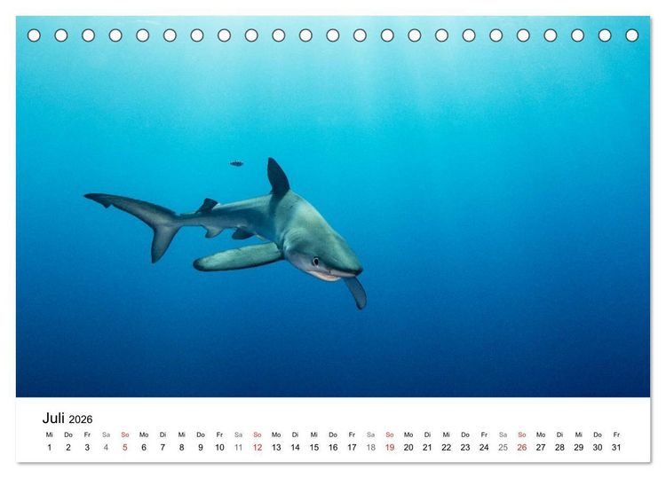 Produktbild: Highlights aus dem Meer - Tauchkalender (Tischkalender 2026 DIN A5 quer), CALVENDO Monatskalender